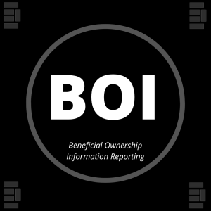 Beneficial Ownership Information Reporting (BOI Report)