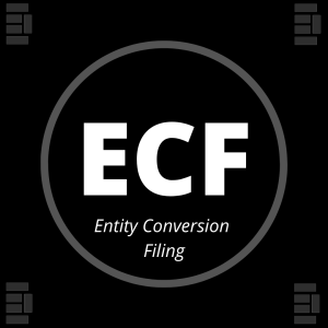 Entity Conversion Filing